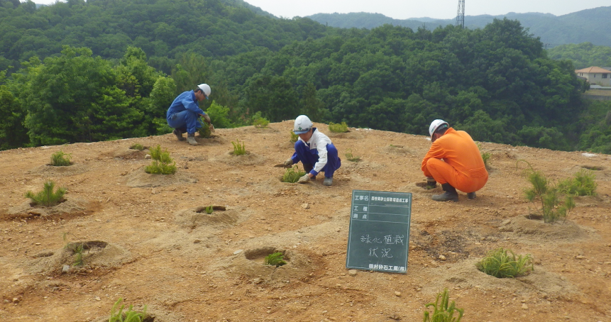 緑化のための植樹の様子
